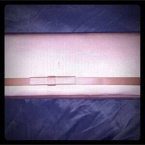 🌹Shillito Rikes Clutch circa 1980s